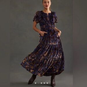 Anthropologie Somerset Maxi- Velvet Floral XSP